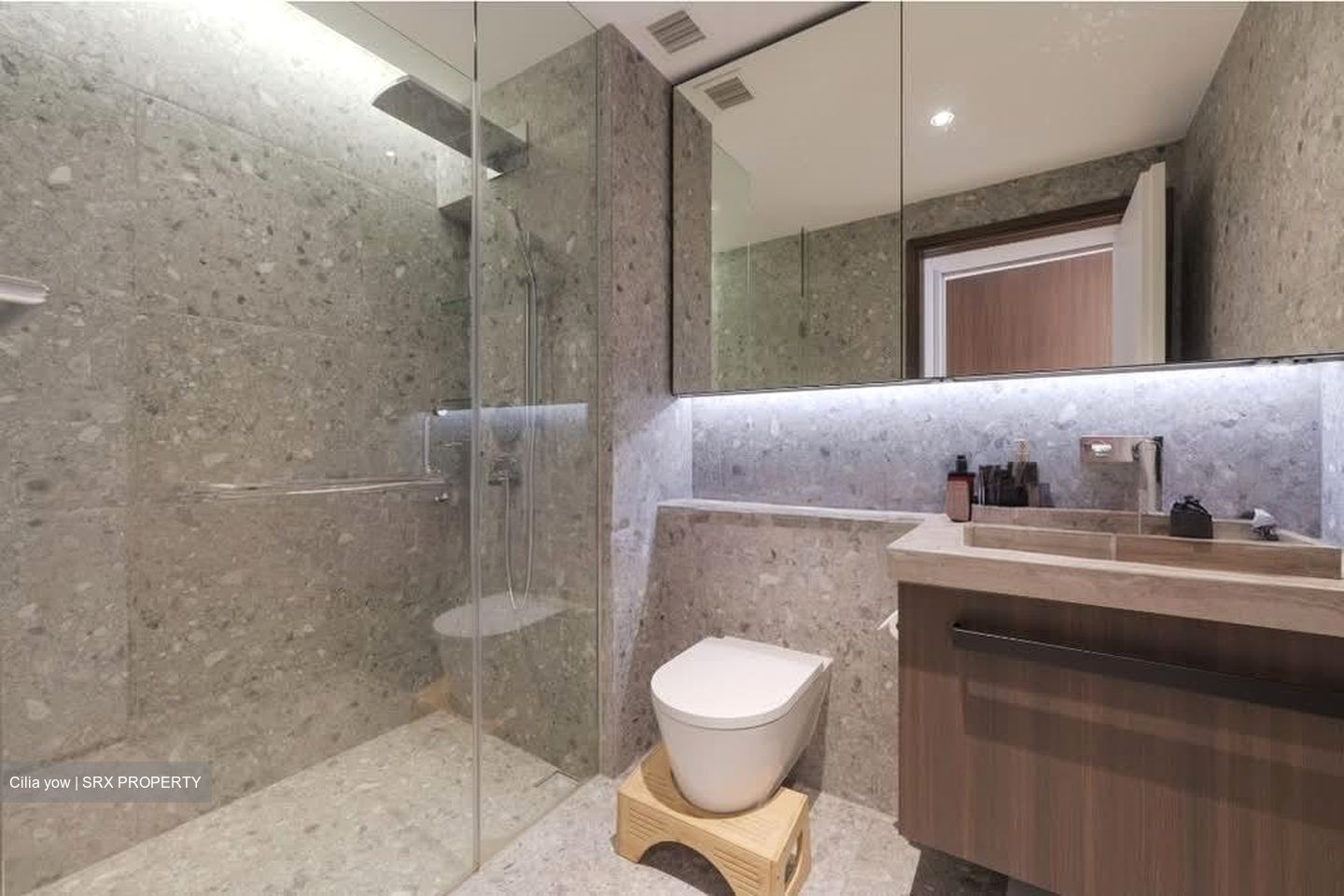 One Pearl Bank (D3), Apartment #573690891
